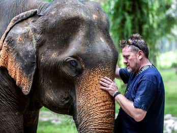 Ko Lanta Yai: Halvdagstur til etisk elefantreservat