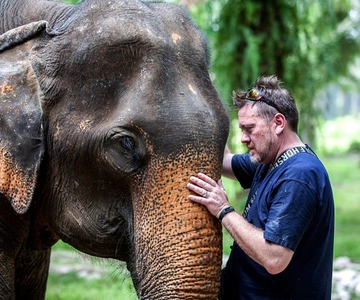Ko Lanta Yai: Half-Day Ethical Elephant Sanctuary Tour