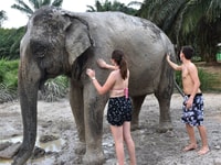 Ko Lanta Yai, een halve dag ethische olifanten heiligdom tournee - Housity
