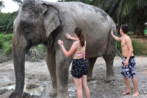 Ko Lanta Yai: Half-Day Ethical Elephant Sanctuary Tour