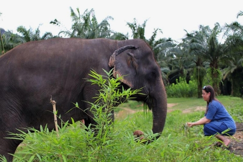 Ko Lanta Yai: Półdniowa wycieczka po sanktuarium słoni