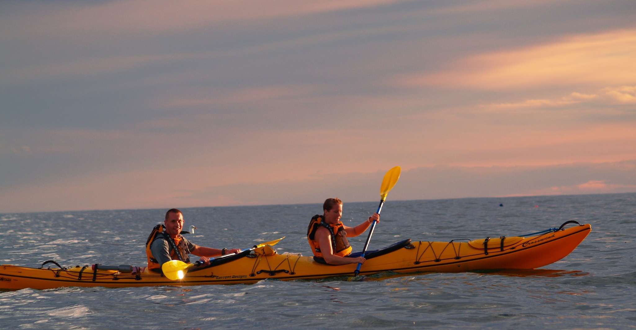 Kaikoura, Wildlife Kayaking Tour at Sunset - Housity