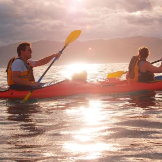 Kaikoura: Sunset Kayaking Tour