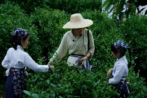 Shanghai: 8-Day Guided Tour with Accommodation