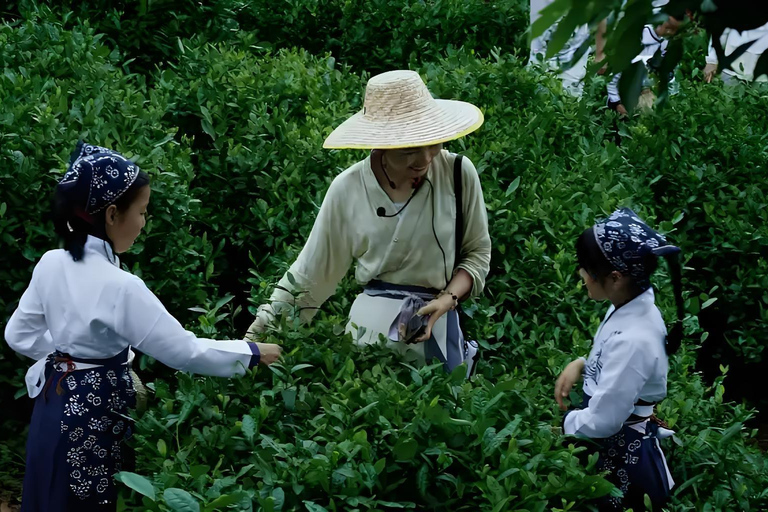 Shanghai: 8-Day Guided Tour with Accommodation