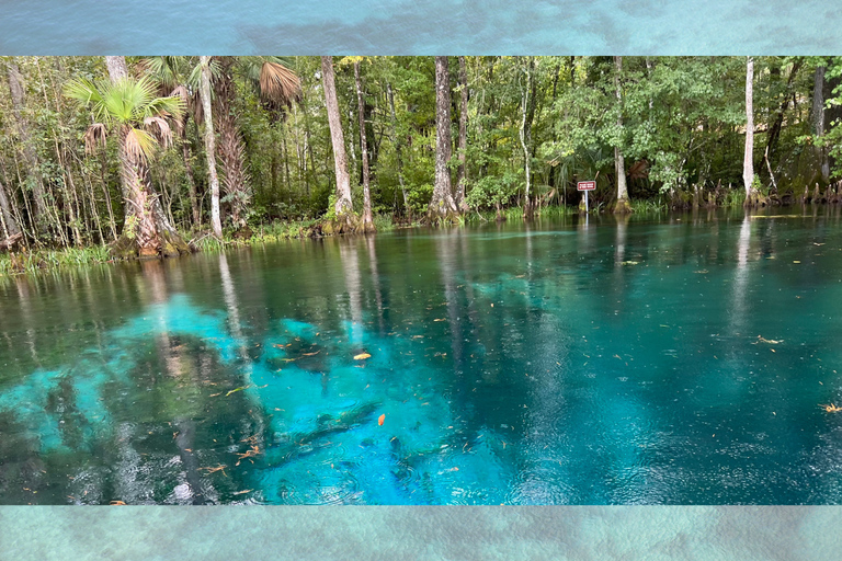 Orlando: Silver Springs Guided Kayak Tour with Shuttle
