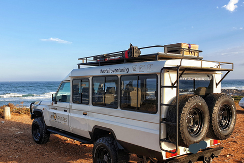 Addo Elephant National Park All Inclusive heldagssafariStandardtur