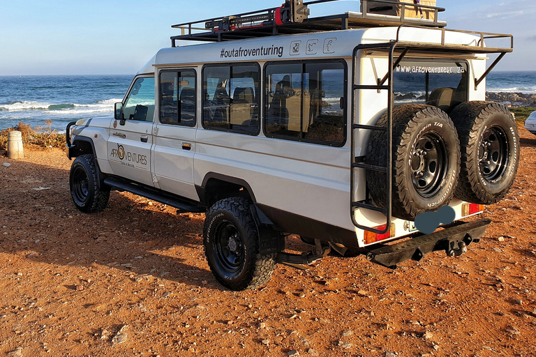 Addo Elephant National Park All Inclusive heldagssafariStandardtur