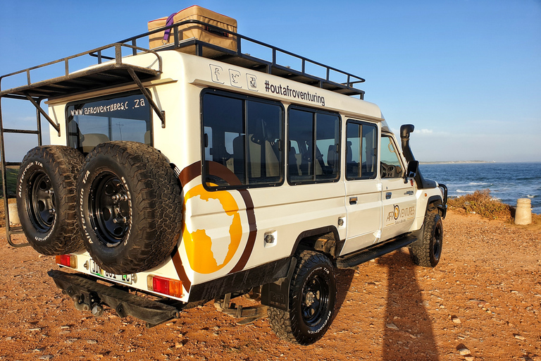 Addo Elephant National Park All Inclusive heldagssafariStandardtur