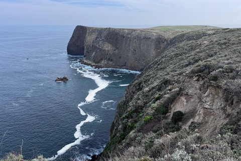 From Orange County: Channel Islands Private Day Tour