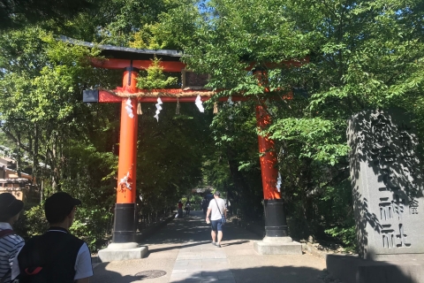 Sfeervolle rondleiding door Uji's thee, natuur en spiritualiteitOpbeurend Kyoto: privérondleiding door Uji's thee en spiritualiteit