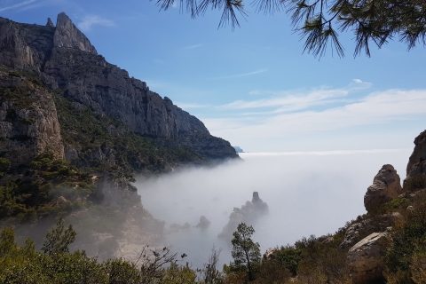 Calanques National Park: 6-Hour Hike