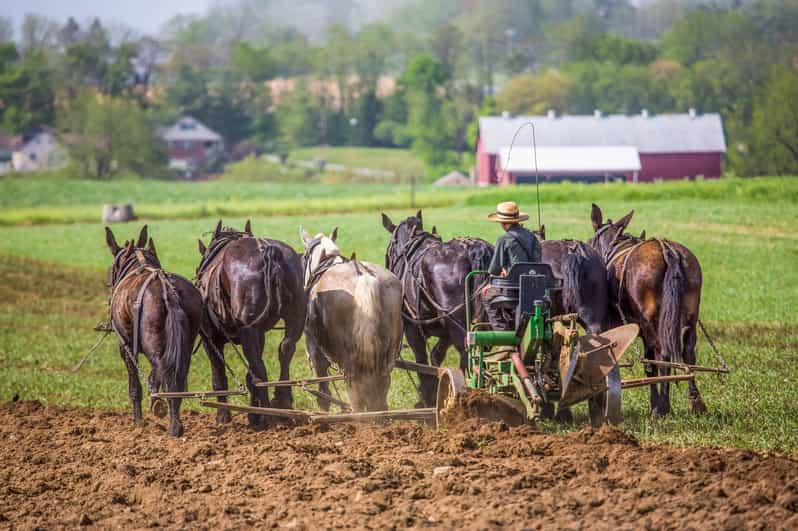 Lancaster County: Tour And Meal With An Amish Family 