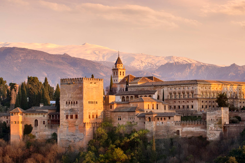 From Seville: Private Excursion to the Alhambra Private Tour in Spanish