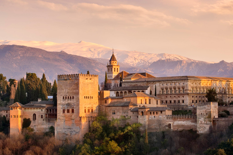 From Seville: Private Excursion to the Alhambra Private Tour in Spanish