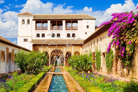 From Seville: Private Excursion to the Alhambra Private Tour in Spanish