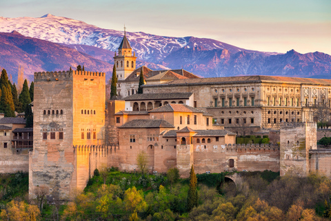 From Seville: Private Excursion to the Alhambra Private Tour in Spanish