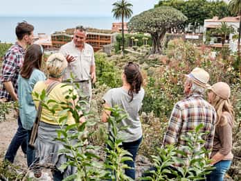 Desde Tenerife Sur: Gran Recorrido VIP Isla de Tenerife