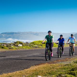 Cape Town: 9-hour Cape Point Private Guided Cycling Tour