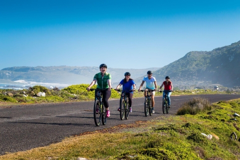Cape Town: 9-godzinna prywatna wycieczka rowerowa z przewodnikiem po Cape Point