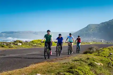 Le Cap : visite guidée privée à vélo de 9 heures à Cape Point