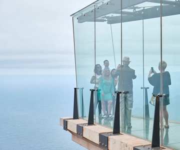 From South Tenerife: VIP Gomera Tour
