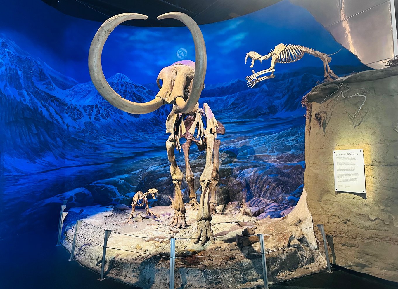 Badlands-tur: Drumheller med museum, hoodoos og dinosaurer