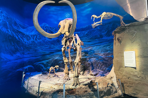 Badlands Tour: Drumheller with Museum, Hoodoos & Dinosaurs Booking Option for Summer 2026