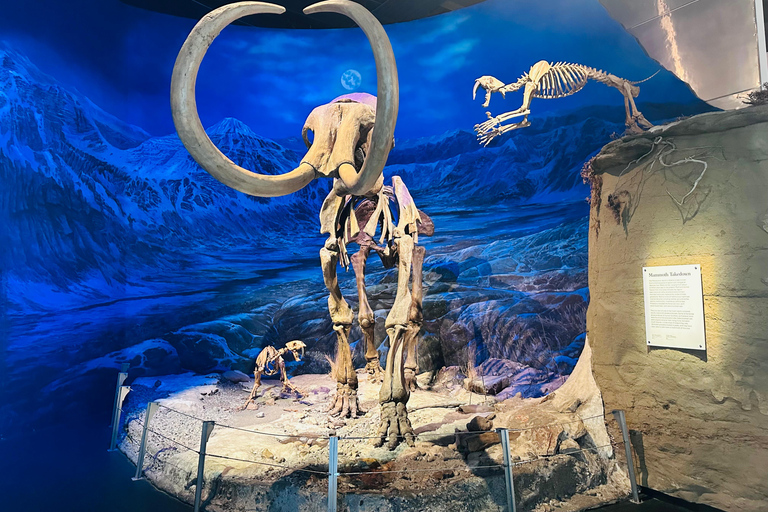 Badlands Tour: Drumheller with Museum, Hoodoos & Dinosaurs Booking Option for Summer 2026