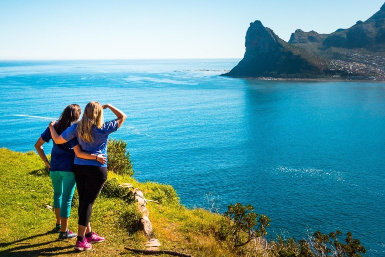 Ciudad del Cabo: tour guiado privado de 9 horas en Cape Point