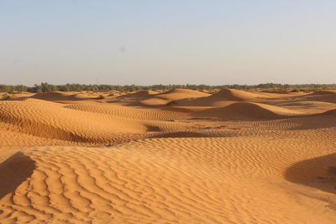 Depuis Djerba : sources chaudes de Ksar Ghilane et villages