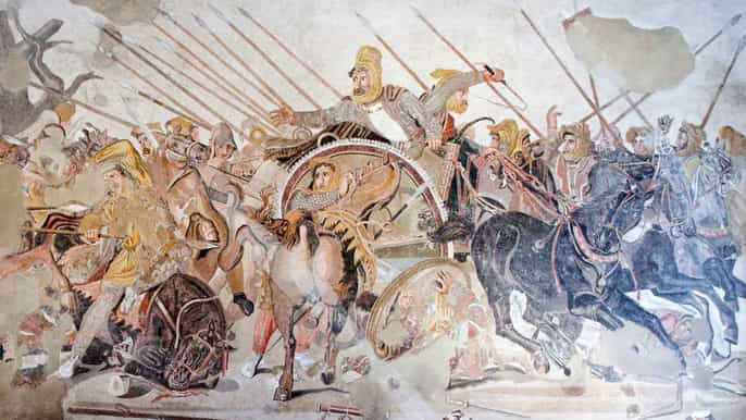 national archaeological museum of naples private guided tour