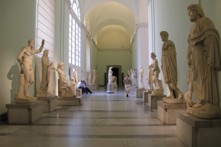 Visite guidée privée du musée national d'archéologie de Naples