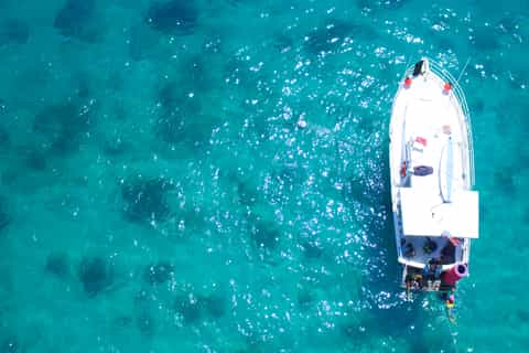 Fajardo: All Levels Snorkeling Tour to Icacos Island