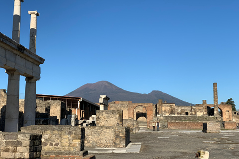 VIP de Pompeya: sin colas con su guía arqueólogo