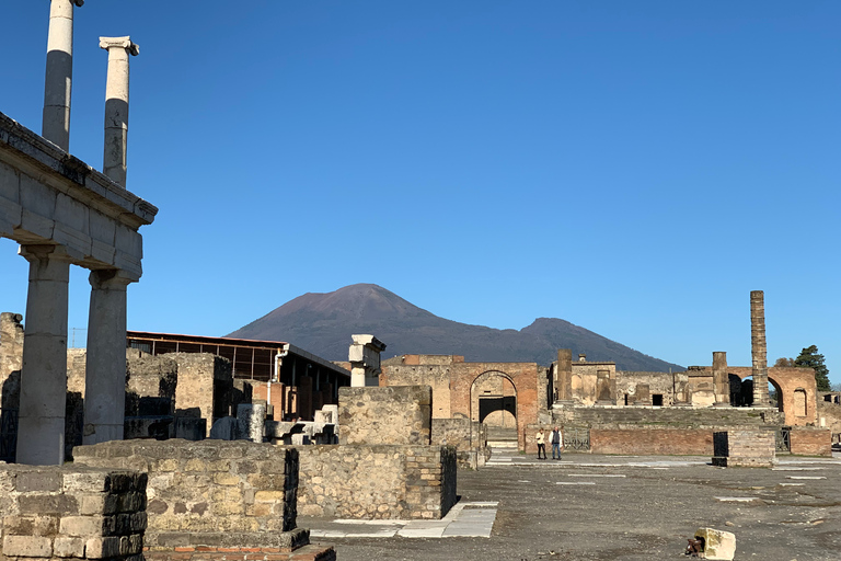 Tour VIP di Pompei di 3 ore: Salta la fila con il tuo archeologoPompei VIP: accesso prioritario con archeologo