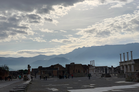 VIP de Pompeya: sin colas con su guía arqueólogo