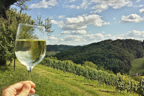 Zagreb: Excursión de un día al Castillo de cuento de hadas con cata de vinos y almuerzo