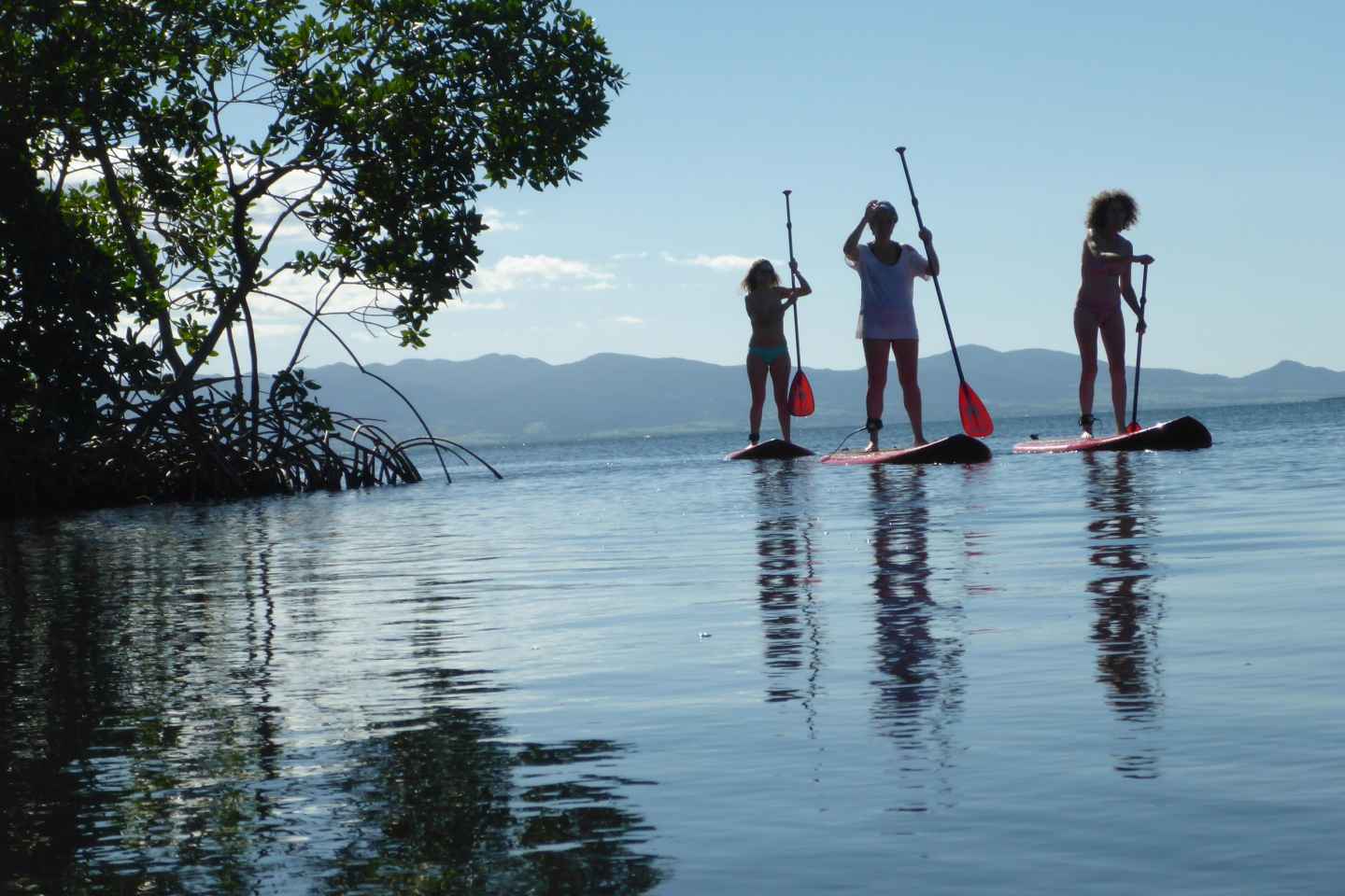 Guadeloupe: Stand Up Paddling in den Mangroven
