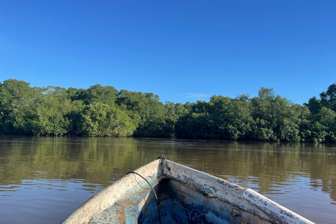 Isla Cañas: Newborn Turtle Release Tour with Breakfast