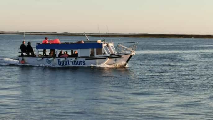 from olhão 3hour boat trip with bbq lunch and oysters
