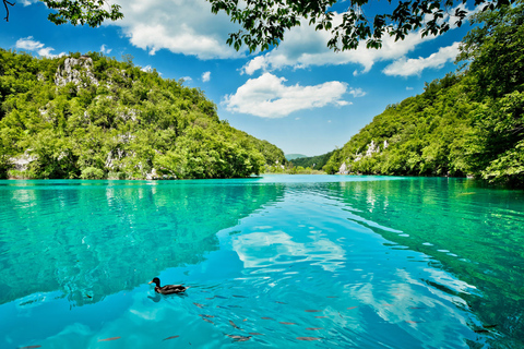 Split: Transfer to Zagreb with Plitvice Lakes Entry TicketsTour from Split