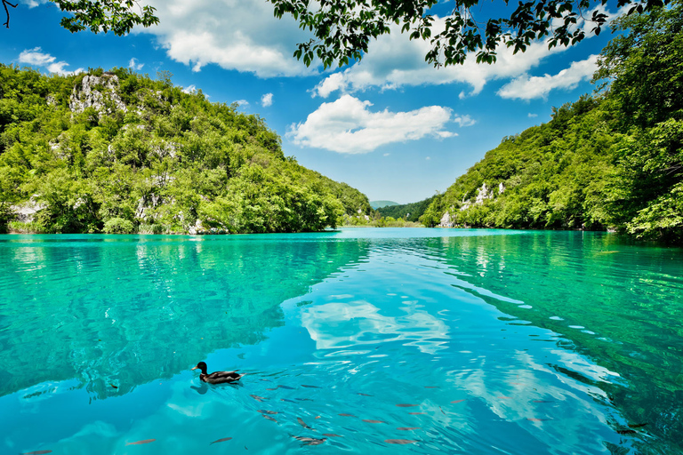 Split : Transfert à Zagreb avec billets d&#039;entrée aux lacs de Plitvice.Circuit depuis Split