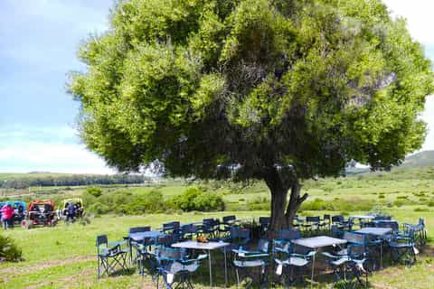 tangier 5hour buggy excursion along the oued aliane river