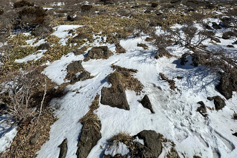 Randonnée au Hallasan sur l'île de Jeju, la plus haute montagne de Corée du SudJeju Hallasan ; randonnée pédestre des fleurs de neige avec déjeuner