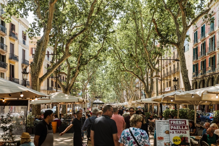 Barcelone: Explorez le quartier gothique avec une section locale