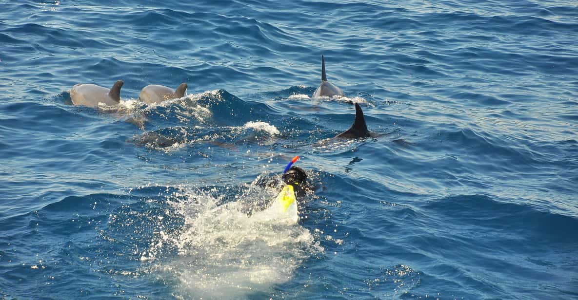 Hurghada: Snorkeling 6 in 1 Yacht Trip with Buffet Lunch