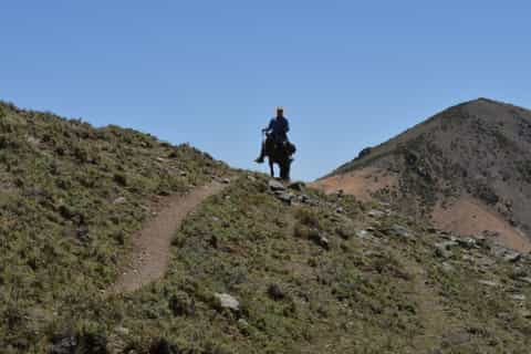 From Mendoza: Gaucho Experience Full Day
