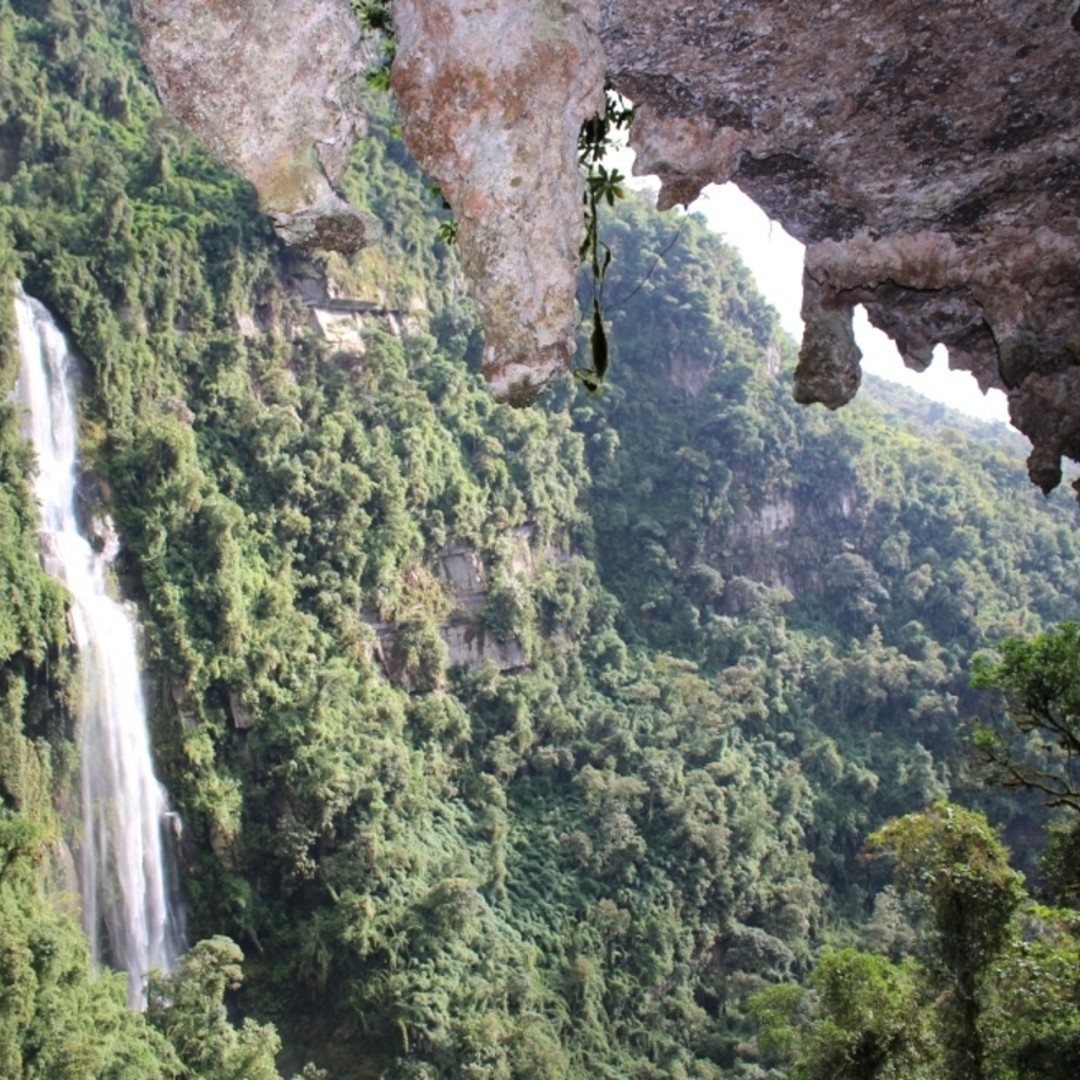 Colagem de mídia