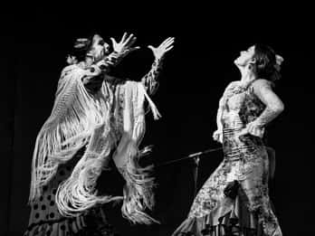 Madrid: Flamenco-Show im Café Ziryab Madrid: Flamenco-Show im Café Ziryab